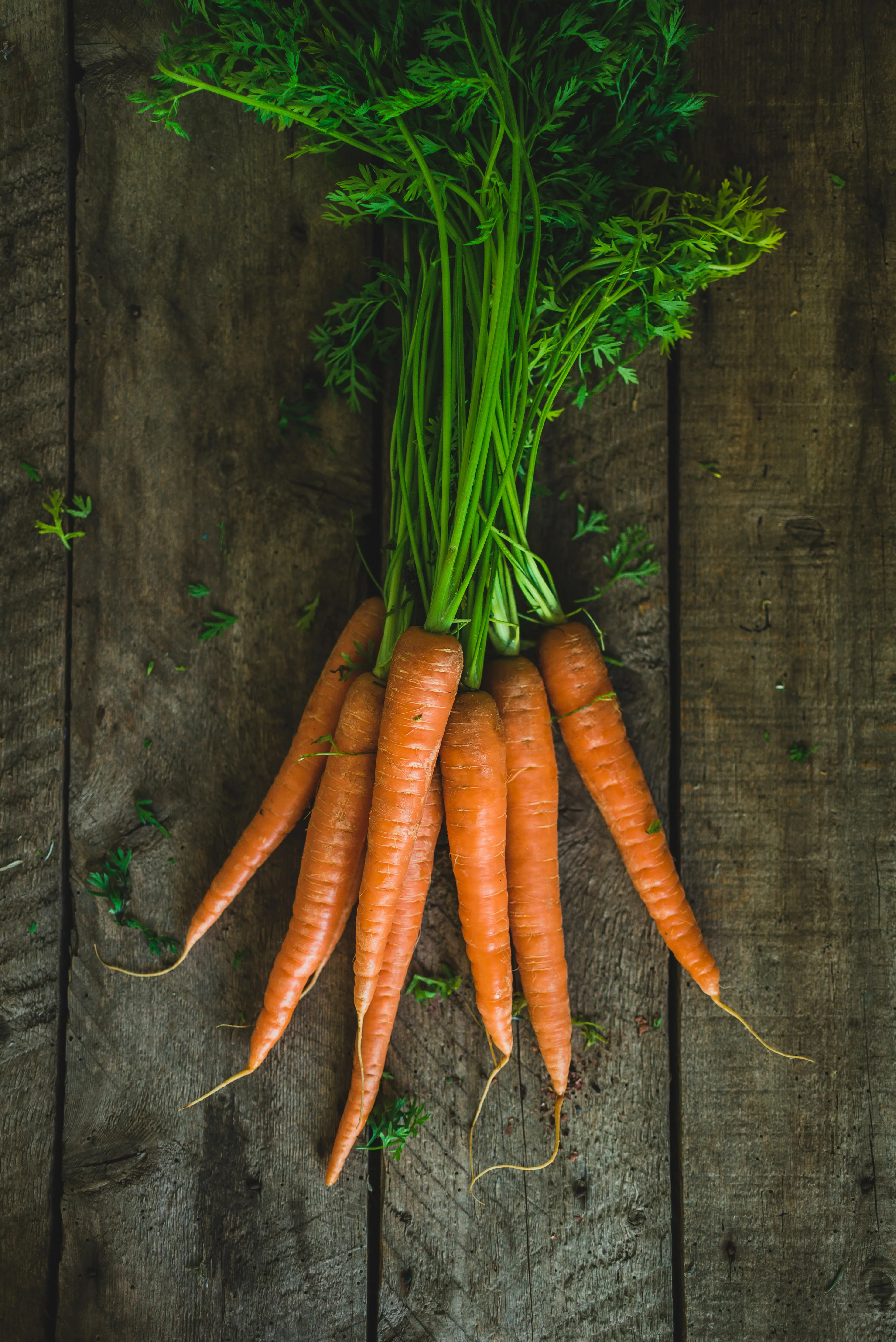 Local farm and seasonal produce in New England.