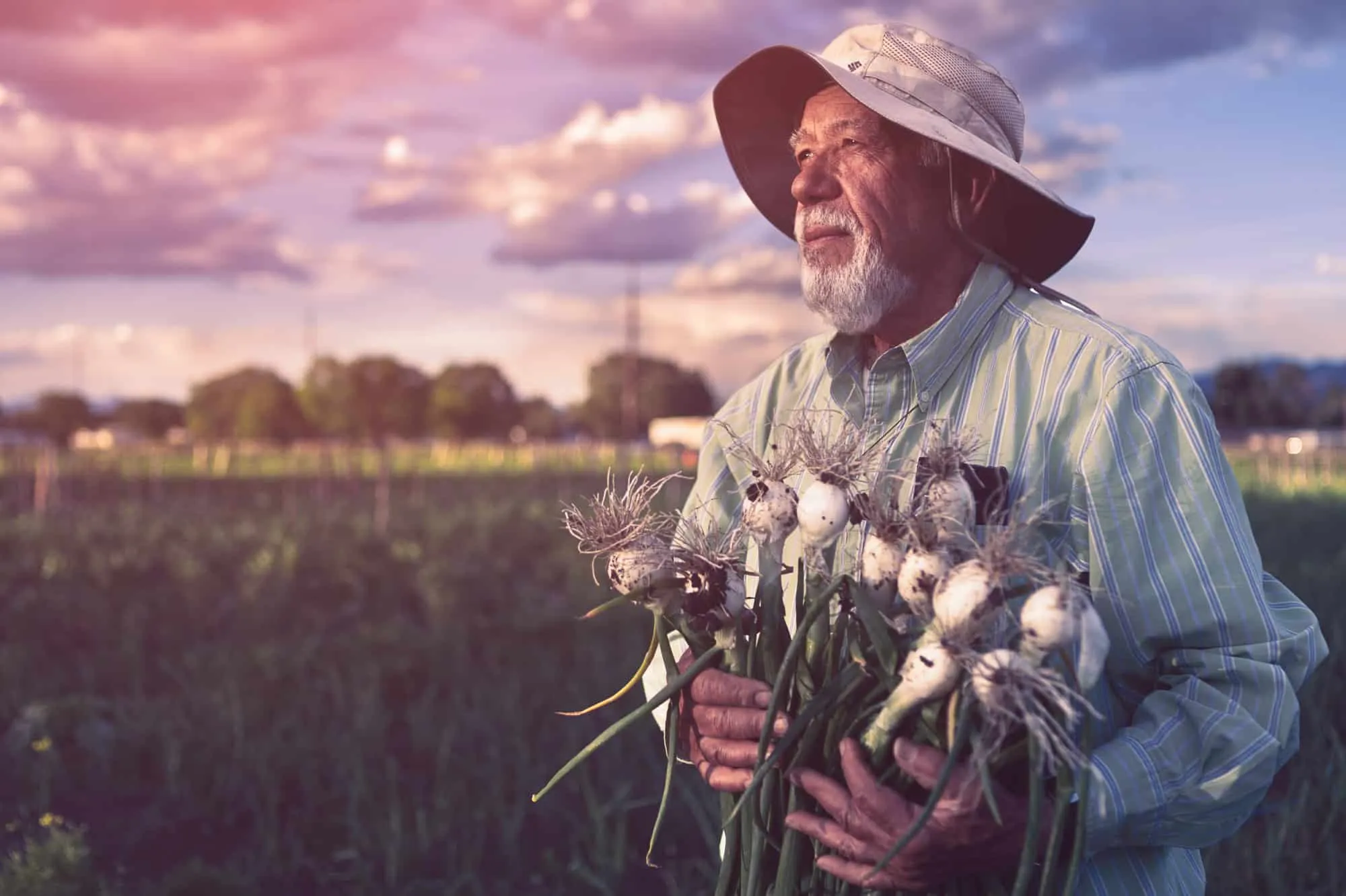 denver portrait photographer latino farmer.