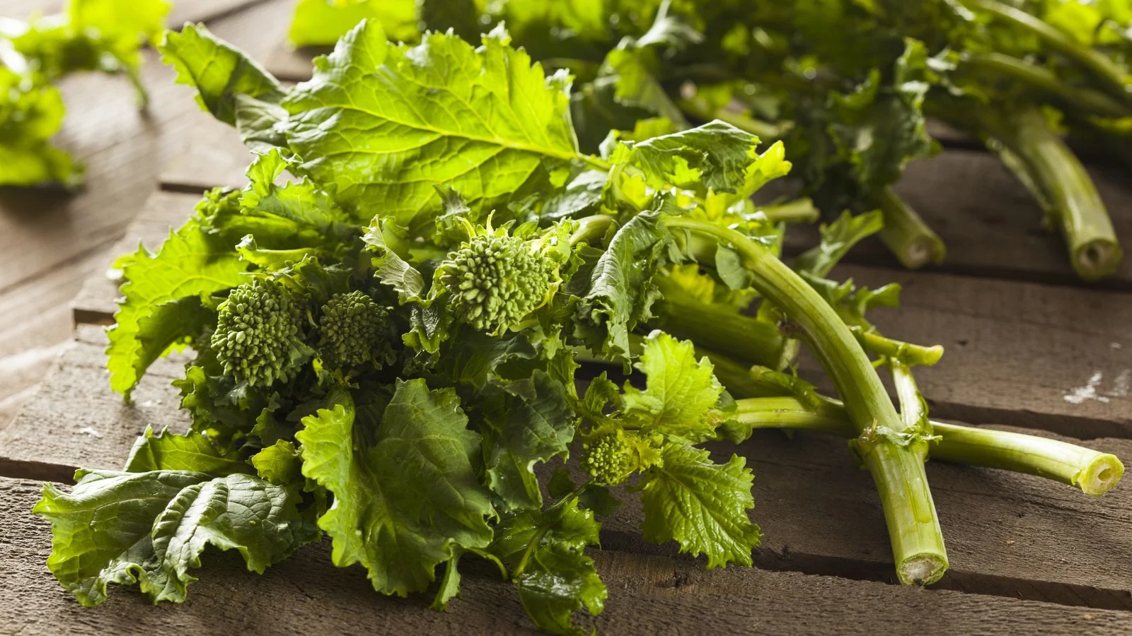 Broccoli Rabe