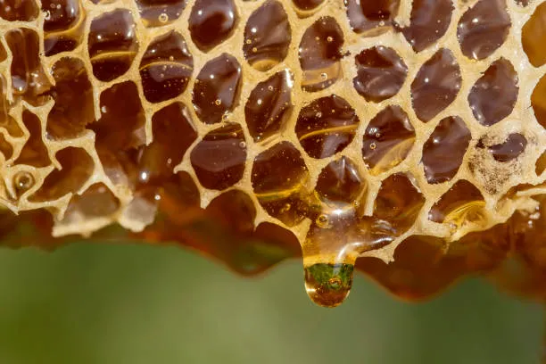 Honey